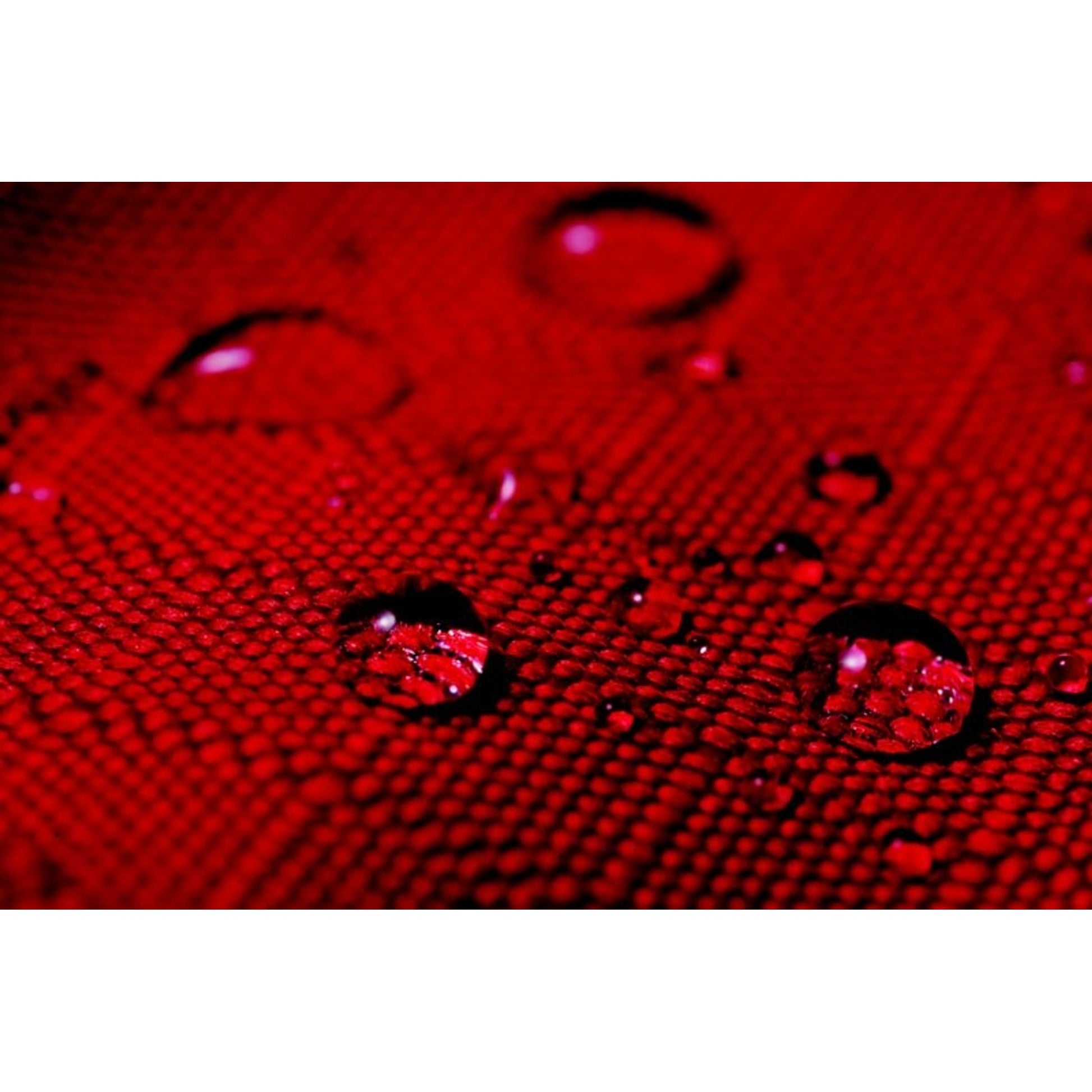 TE023754_RED_03.jpg