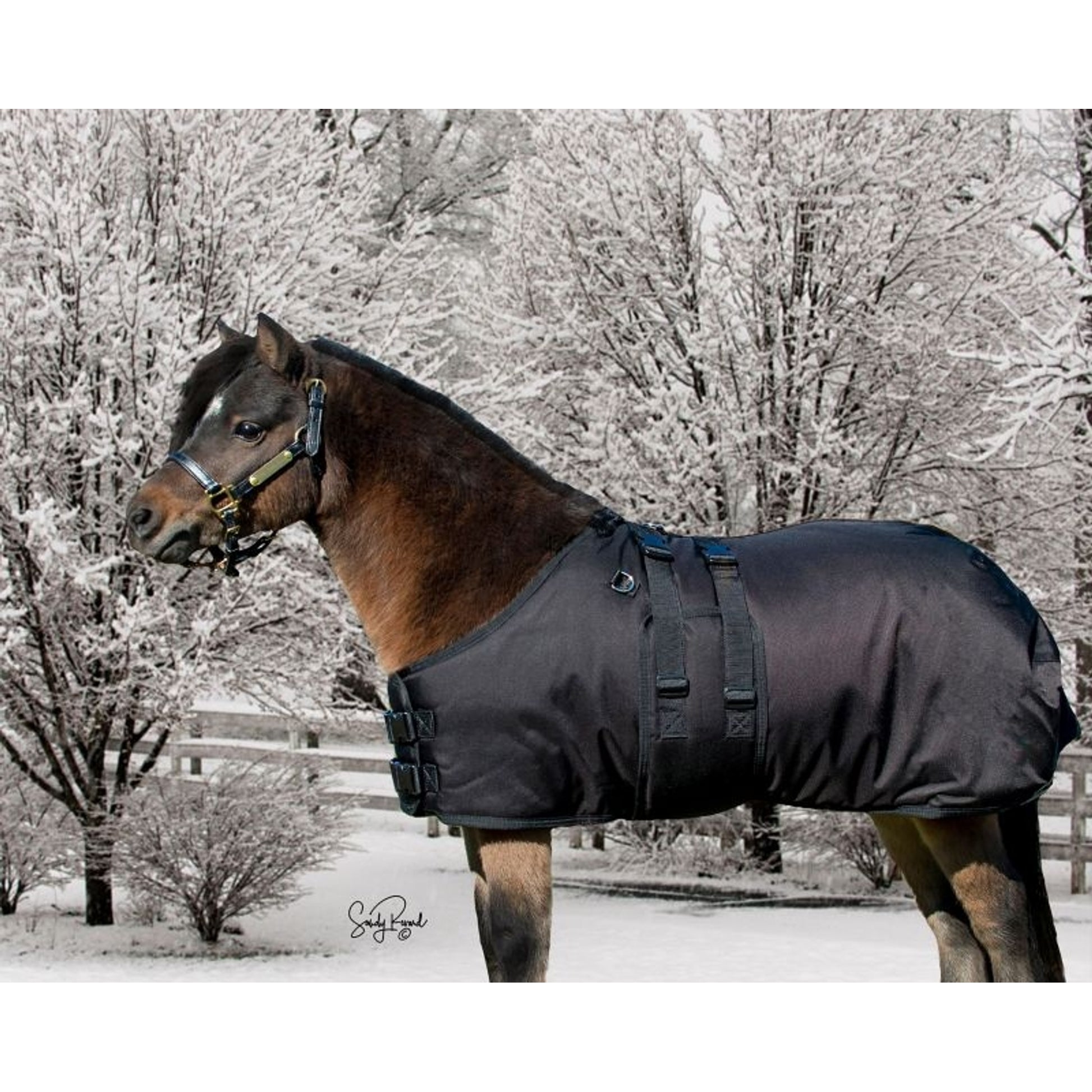 Ozark Mini/Pony Arctic Waterproof 300g Blanket