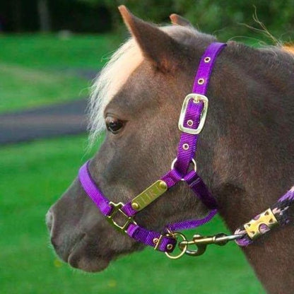 Ozark Mini Personal 2 Brass Tag Nylon Halter