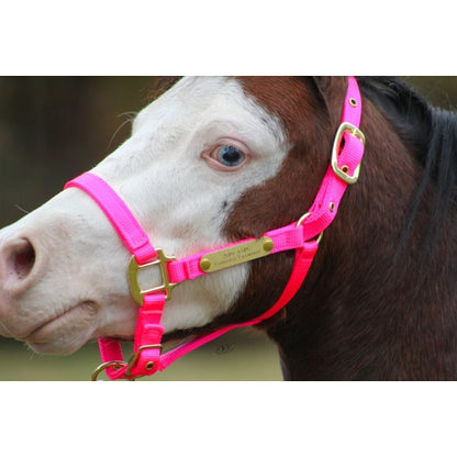 Ozark Mini Personal 2 Brass Tag Nylon Halter