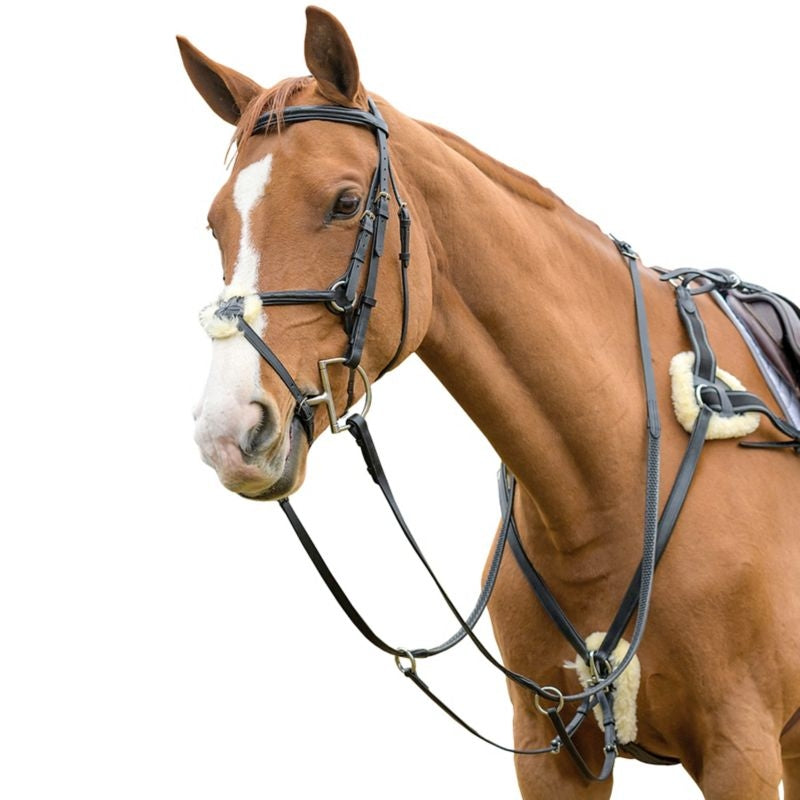 Martingales and Breastplates