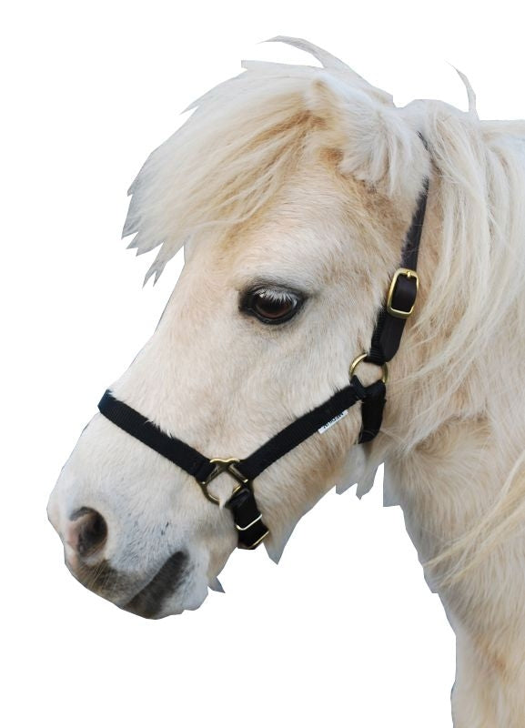 Triple E Nylon Mini Halter with Leather Crown
