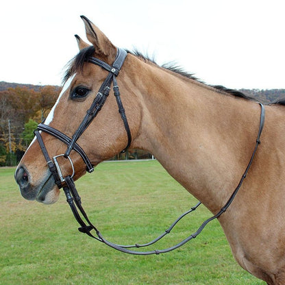 HDR Kushy Bridle with Flash Attachment