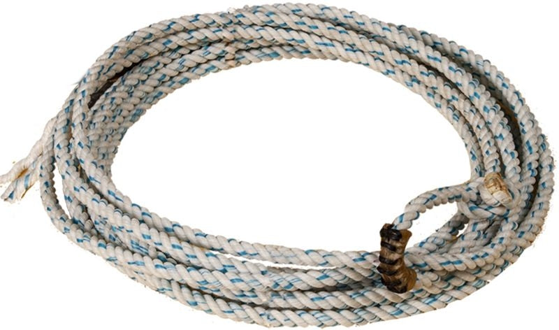 Mustang Big Dog Kid Rope 5/16in x 22ft Med Lay