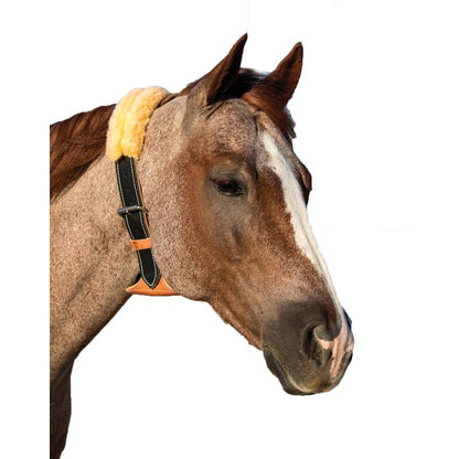 The Dare Cribbing Collar