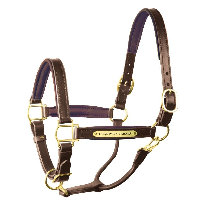 Engraved Large Pony Leather Halter