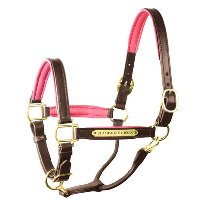Perri's Personalized Padded Leather Halter