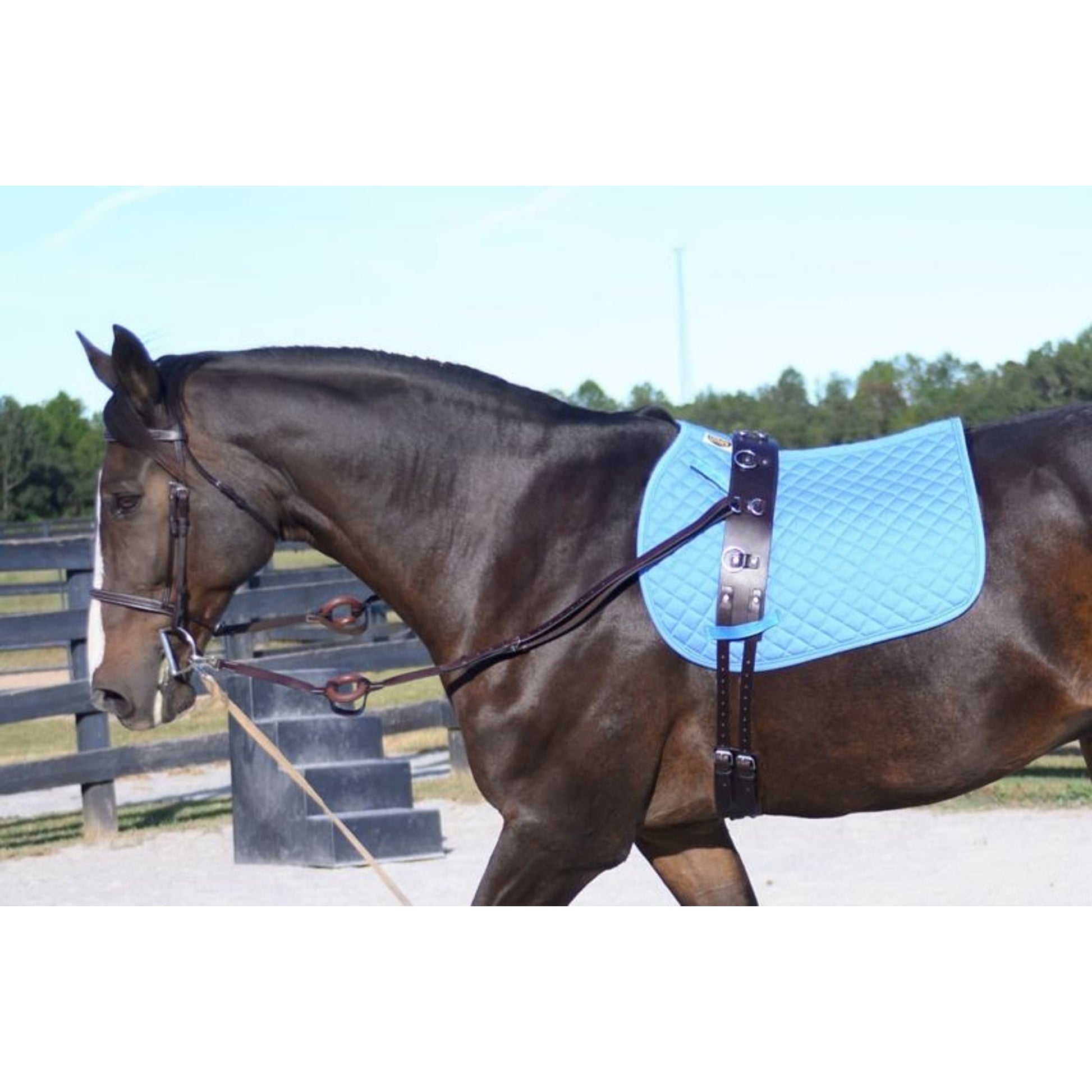 Gatsby All-leather Training Surcingle