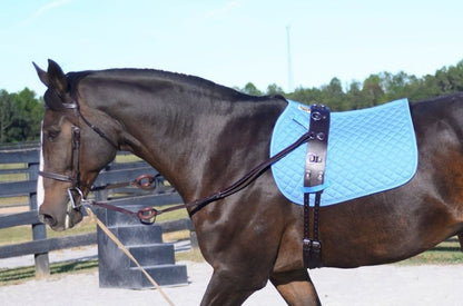 Gatsby All-leather Training Surcingle