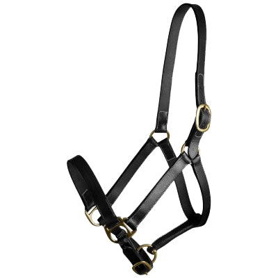 Western Bridles and Headstalls