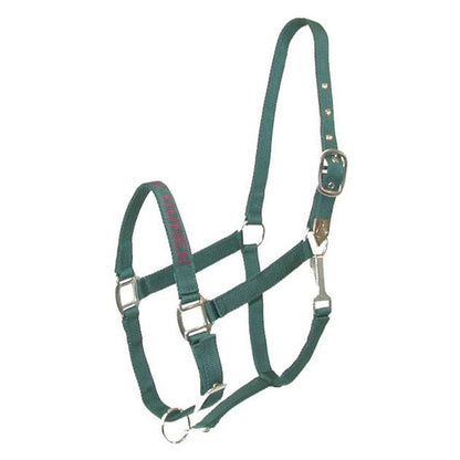 Gatsby I LOVE MY OWNER Nylon Halter