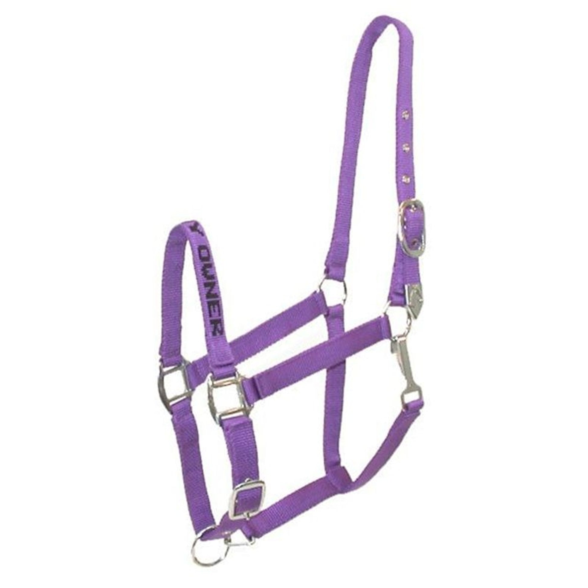 Gatsby I LOVE MY OWNER Nylon Halter
