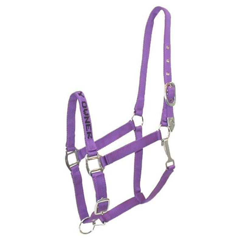 Gatsby I LOVE MY OWNER Nylon Halter