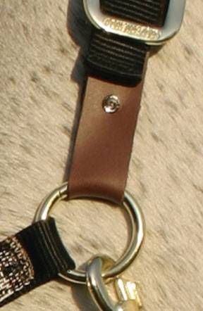 Kensington Leather Breakaway 3 Pk