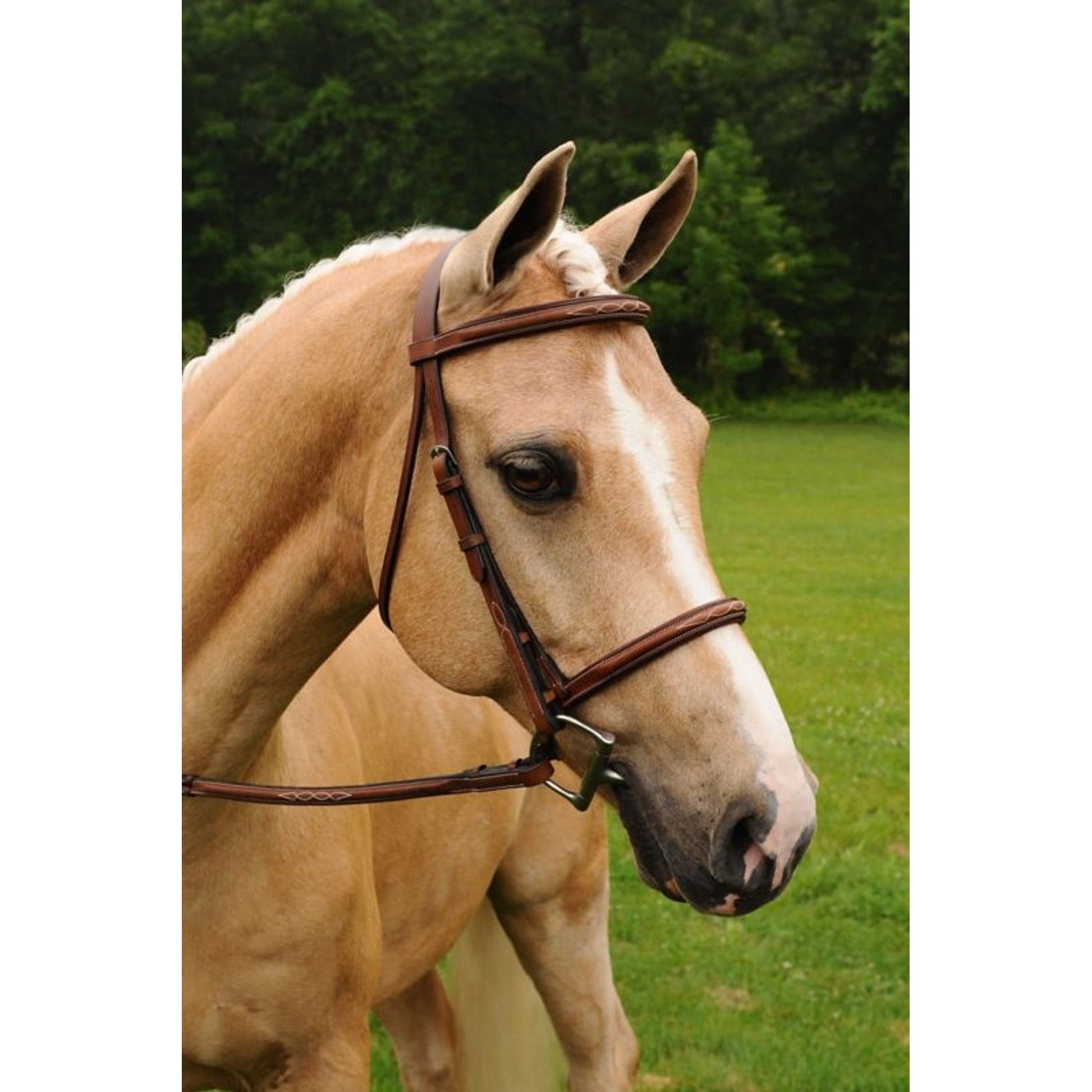 Arc de Triomphe Imperial Bridle