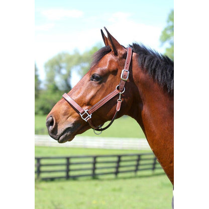 Arc de Triomphe Leather Halter