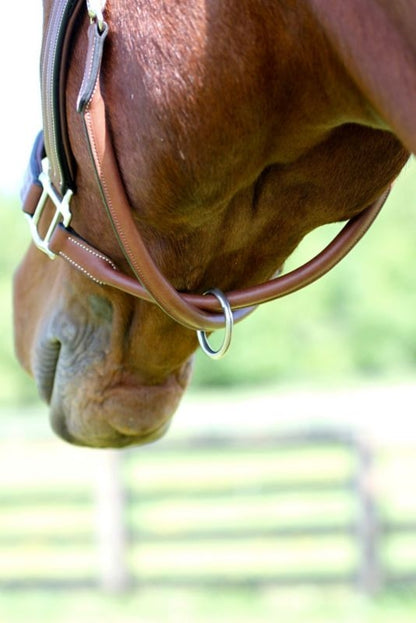 Arc de Triomphe Leather Halter