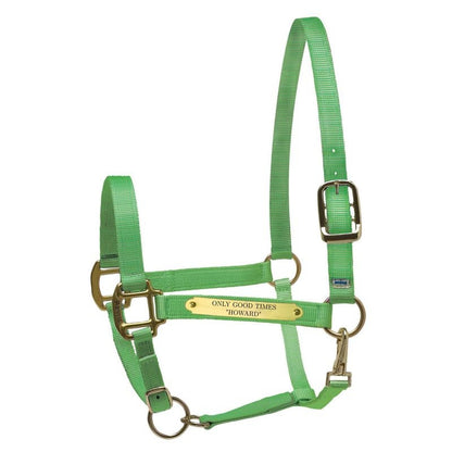 Perri's Personalized Nylon Super Halter