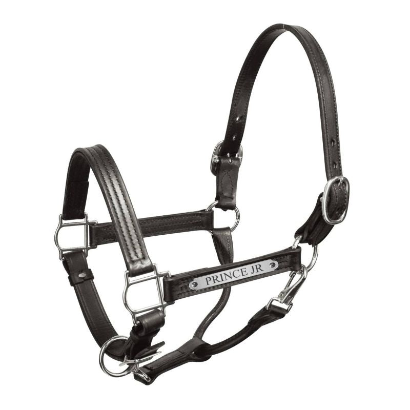 Engraved Leather Show Halter with SS Plate– KVSupply