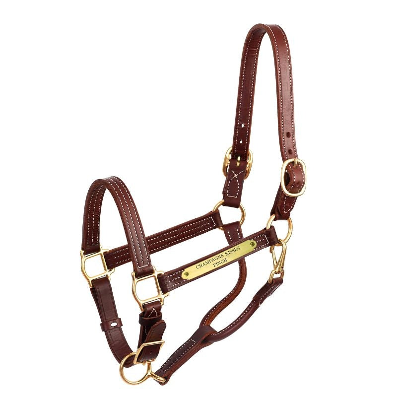 Perri's Color Vision Halter