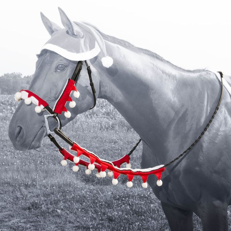 Holiday Santa Halter and Rein Cover Set