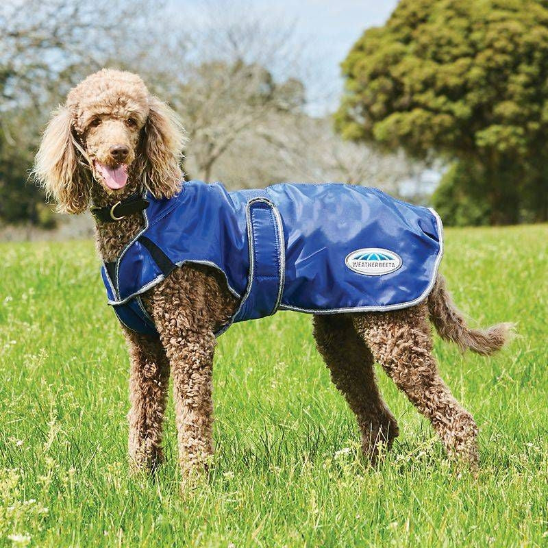 WB Comfitec Windbreaker Deluxe Dog Coat 10 Purple