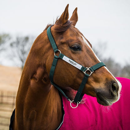Rambo FIELDSAFE Safety Halter