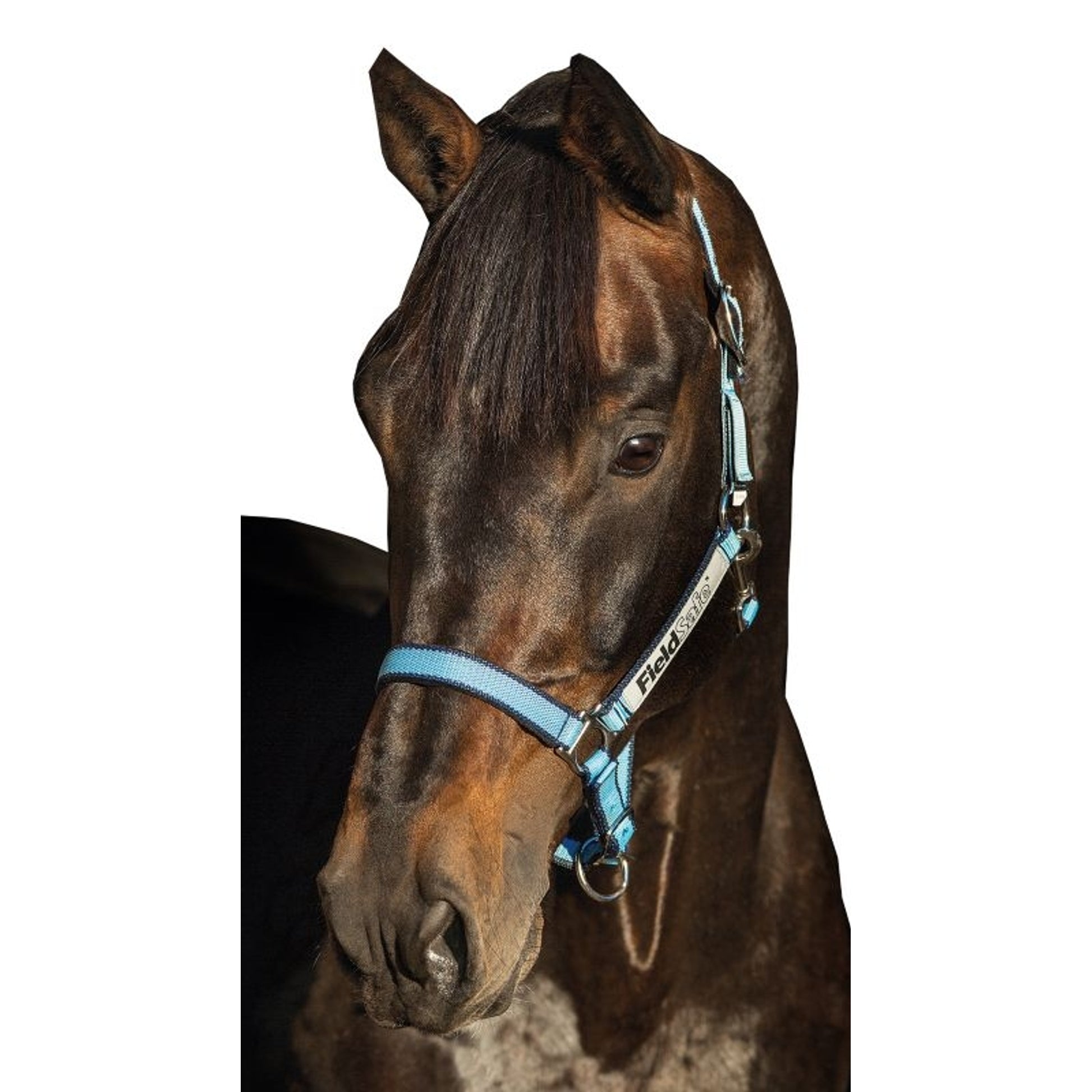Rambo FIELDSAFE Safety Halter