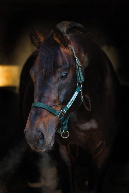 Rambo FIELDSAFE Safety Halter