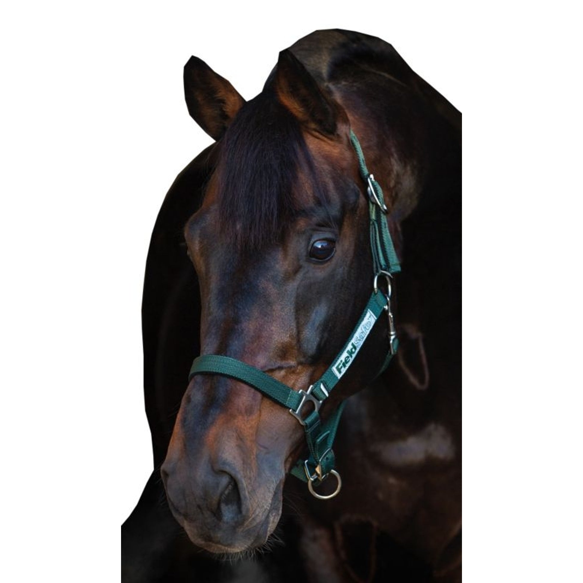 Rambo FIELDSAFE Safety Halter