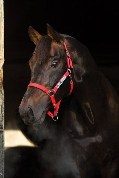 Rambo FIELDSAFE Safety Halter
