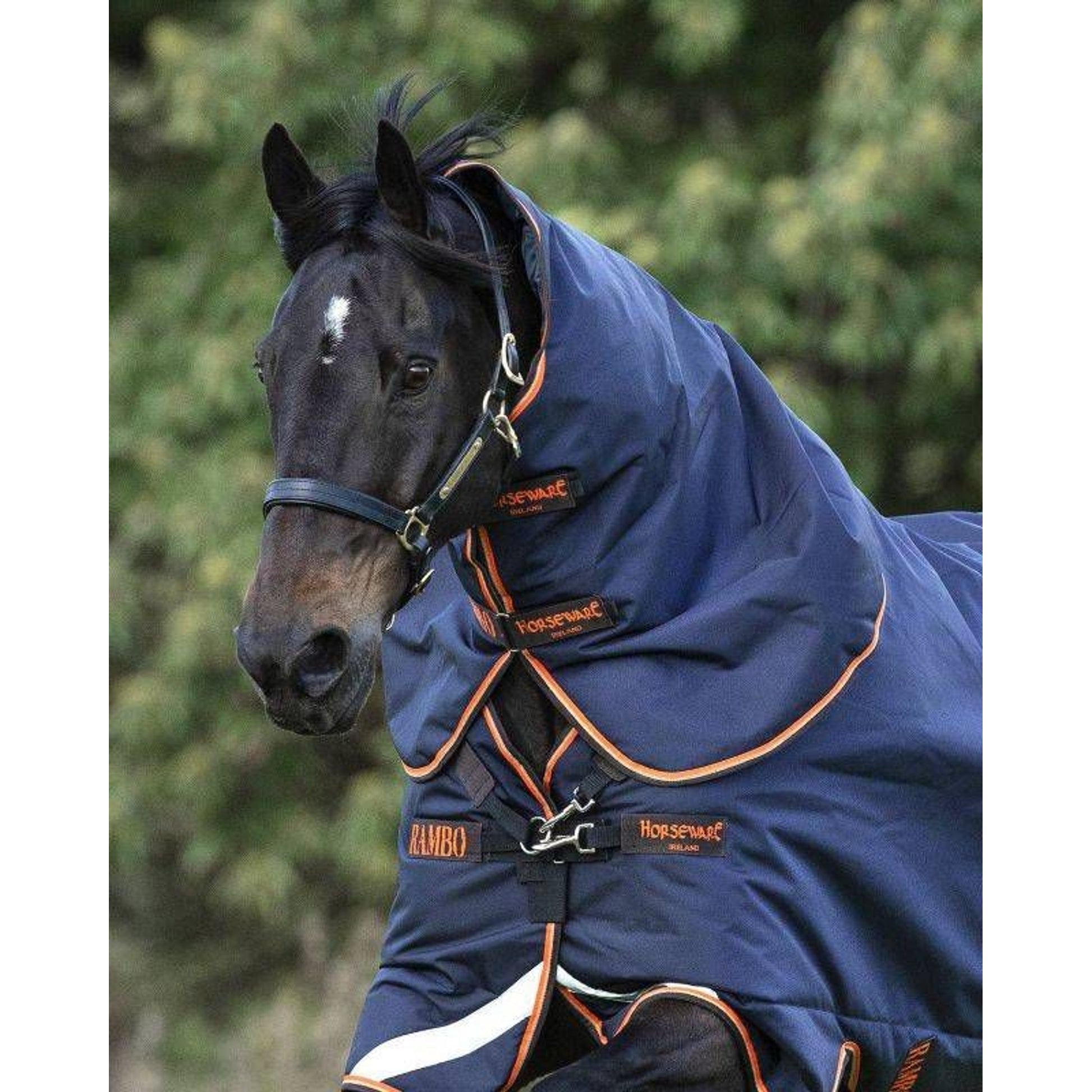 Rambo Supreme Hood 50g