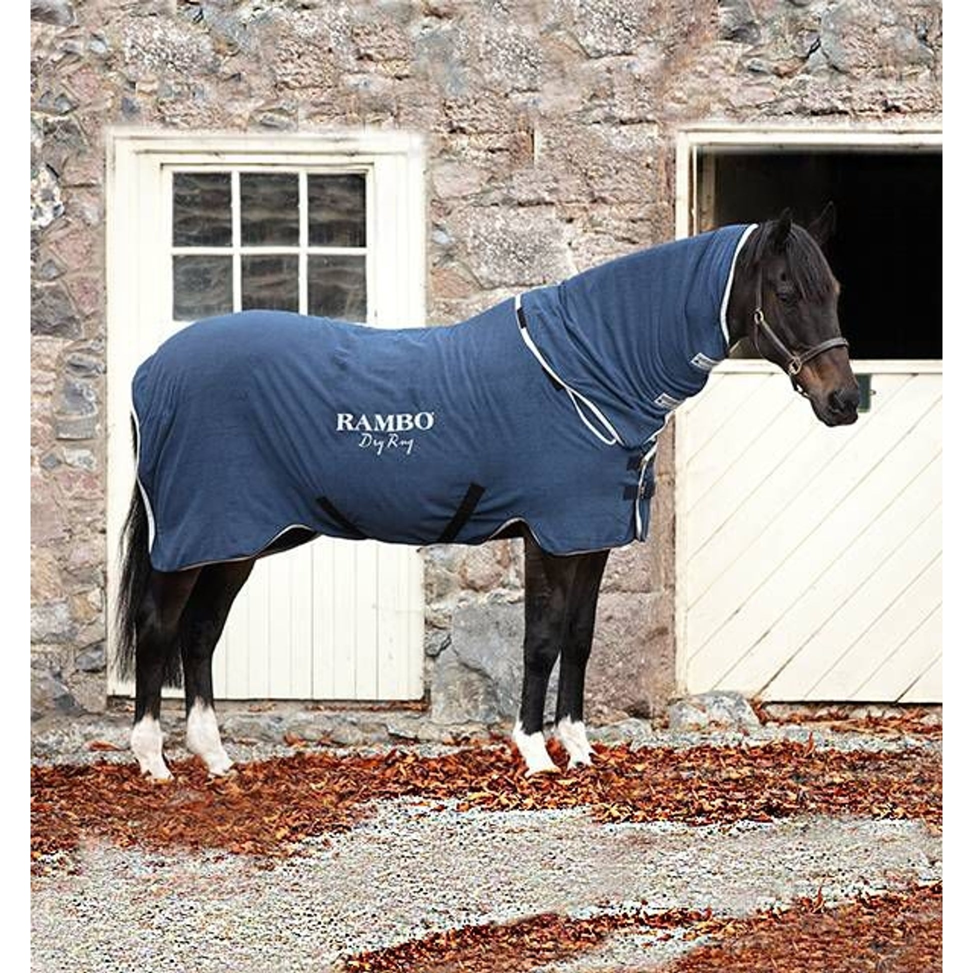Rambo Dry Rug