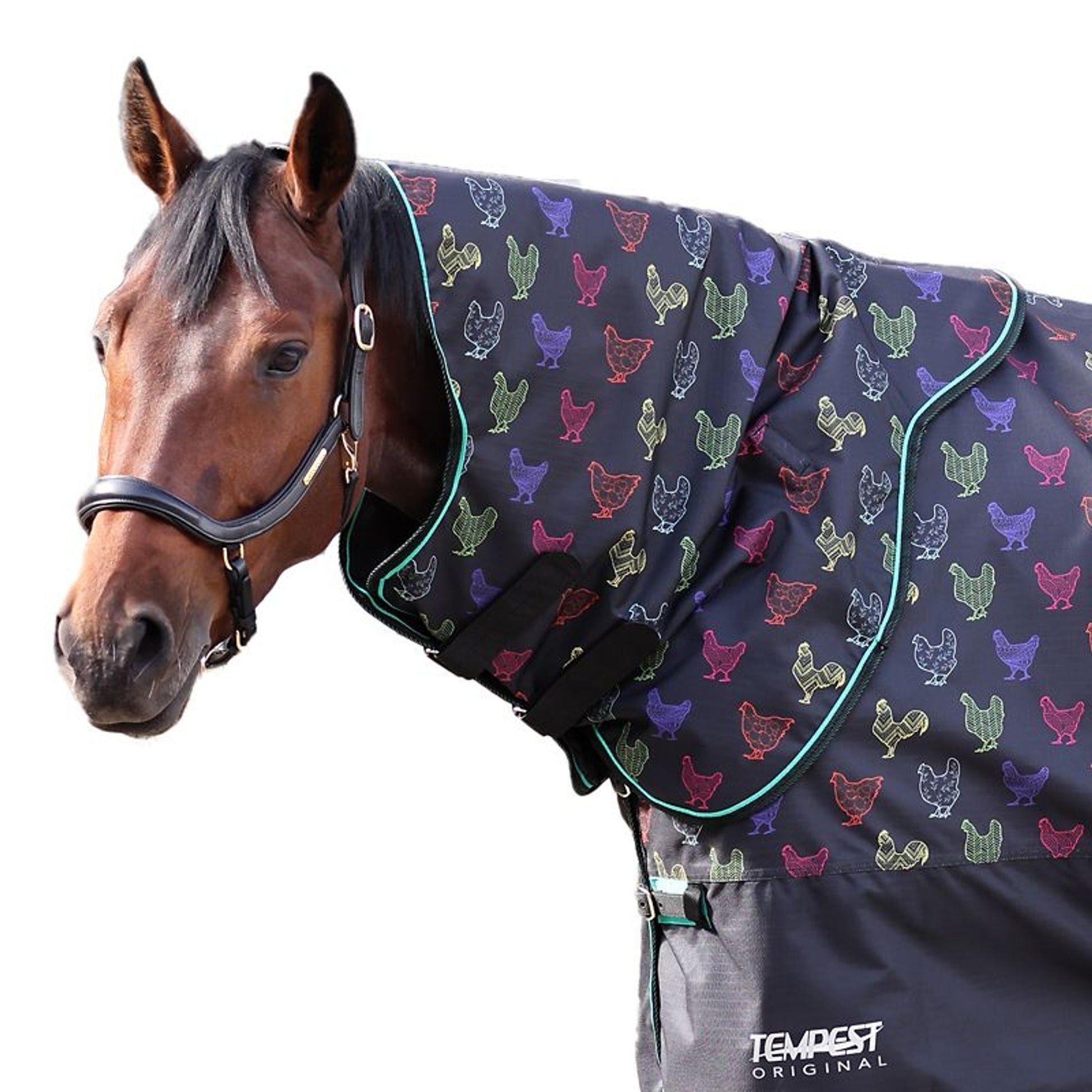 Shires Tempest Org Lite Hood