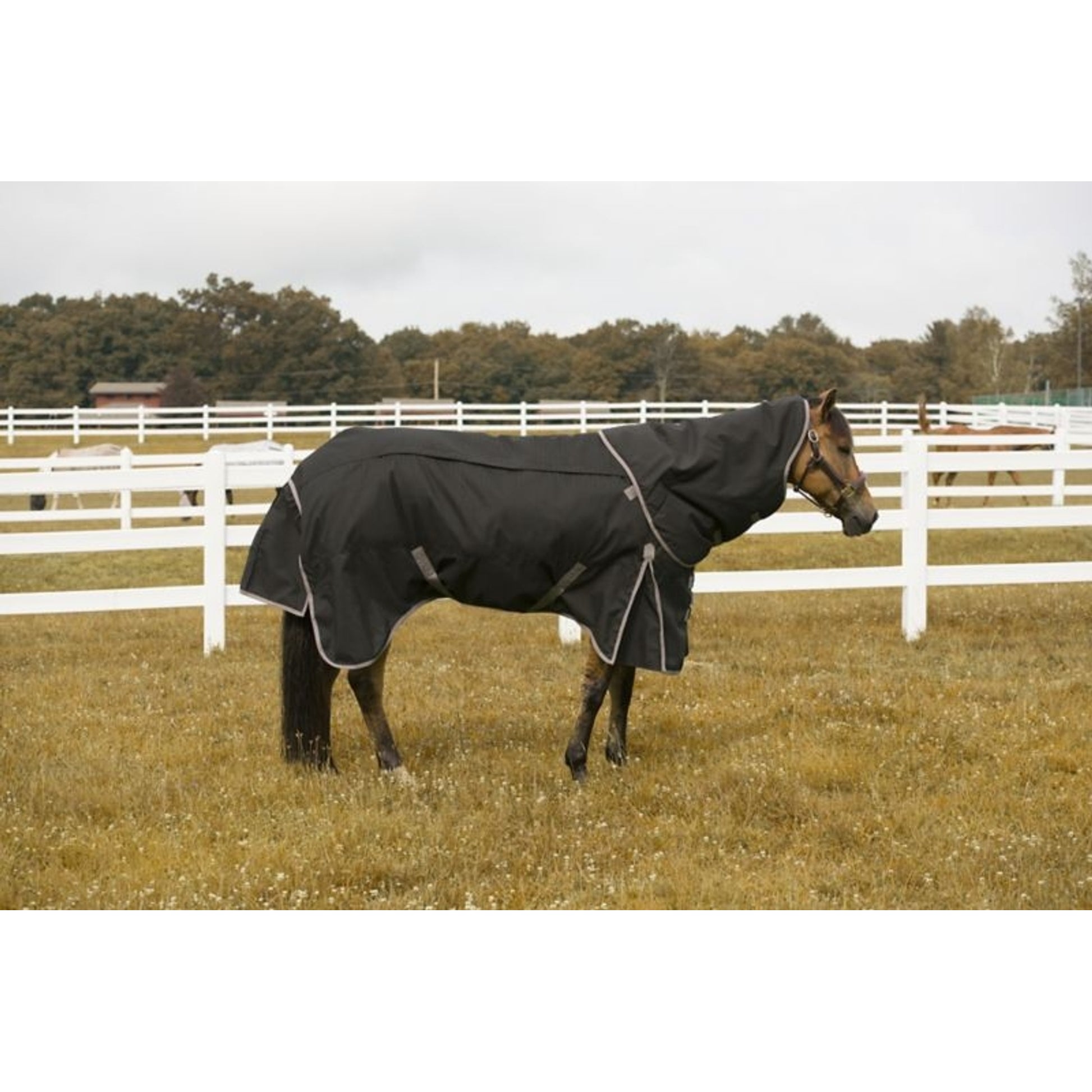TuffRider All Seasons Blanket