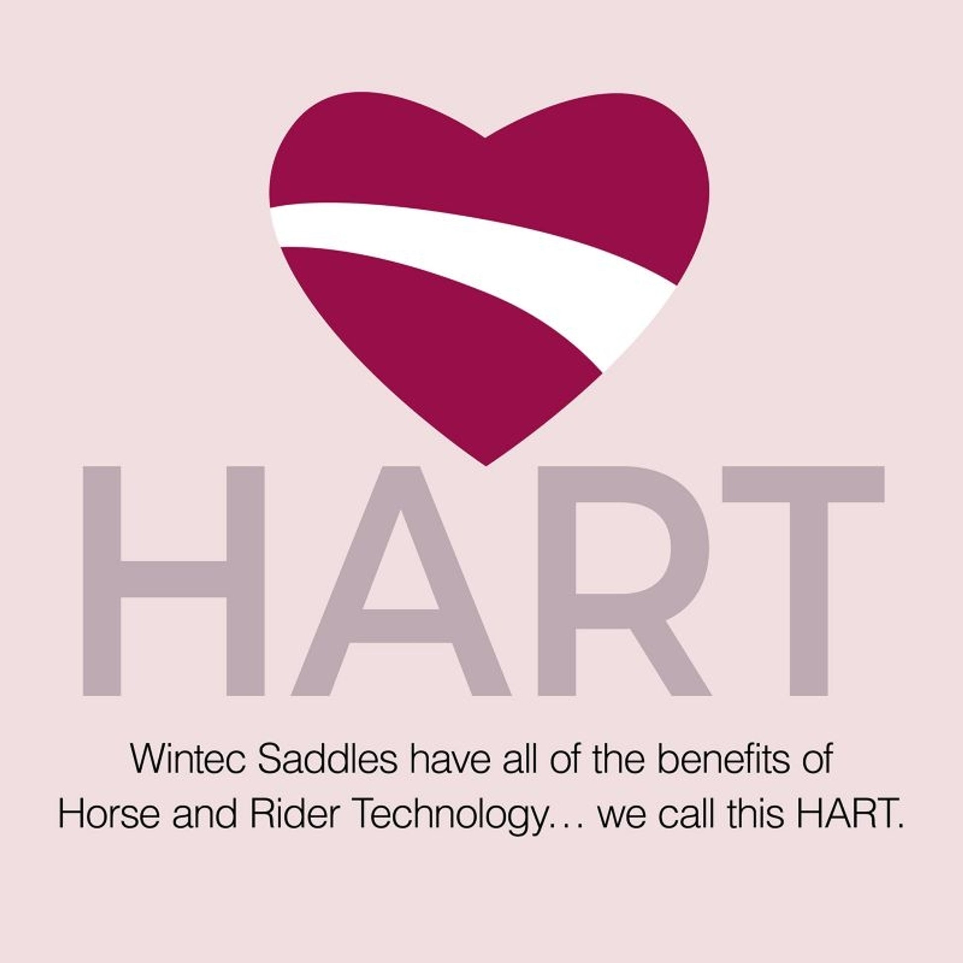 WintecLite HART D-Lux WIDE All Purpose Saddle