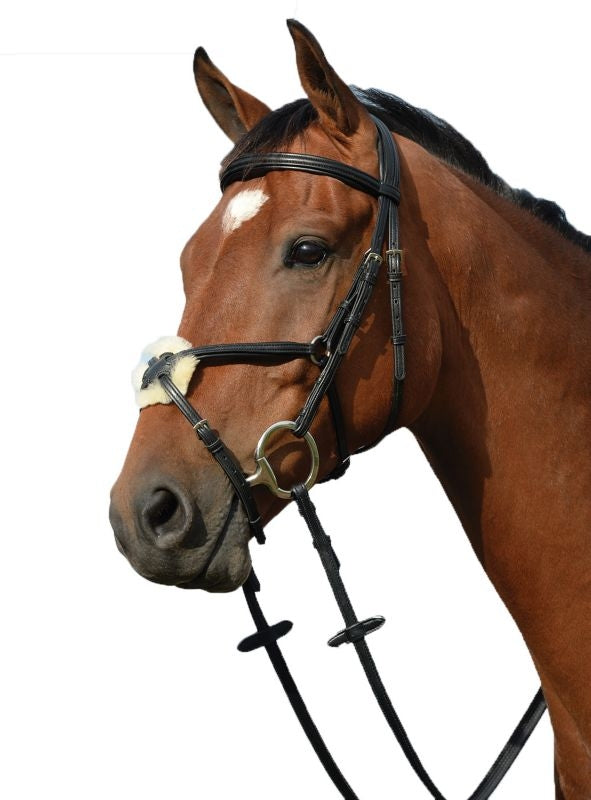 Collegiate Syntovia Figure 8 Bridle