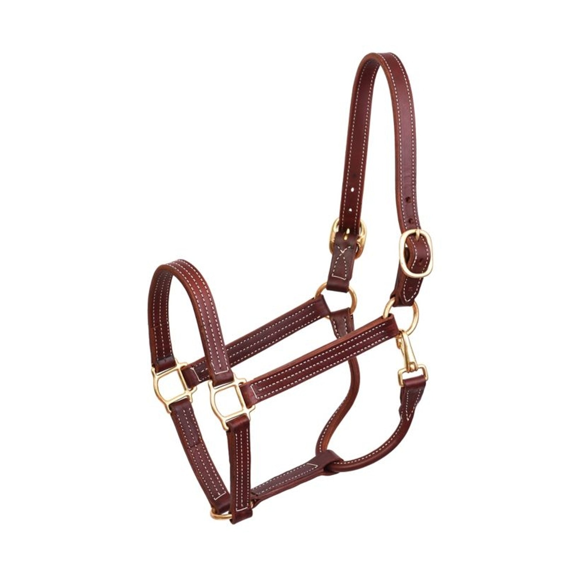 Perris Professional Show Halter