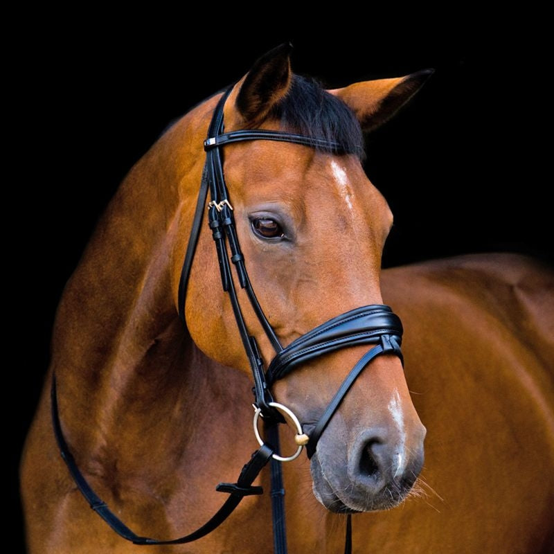 Stubben Switch Bridle