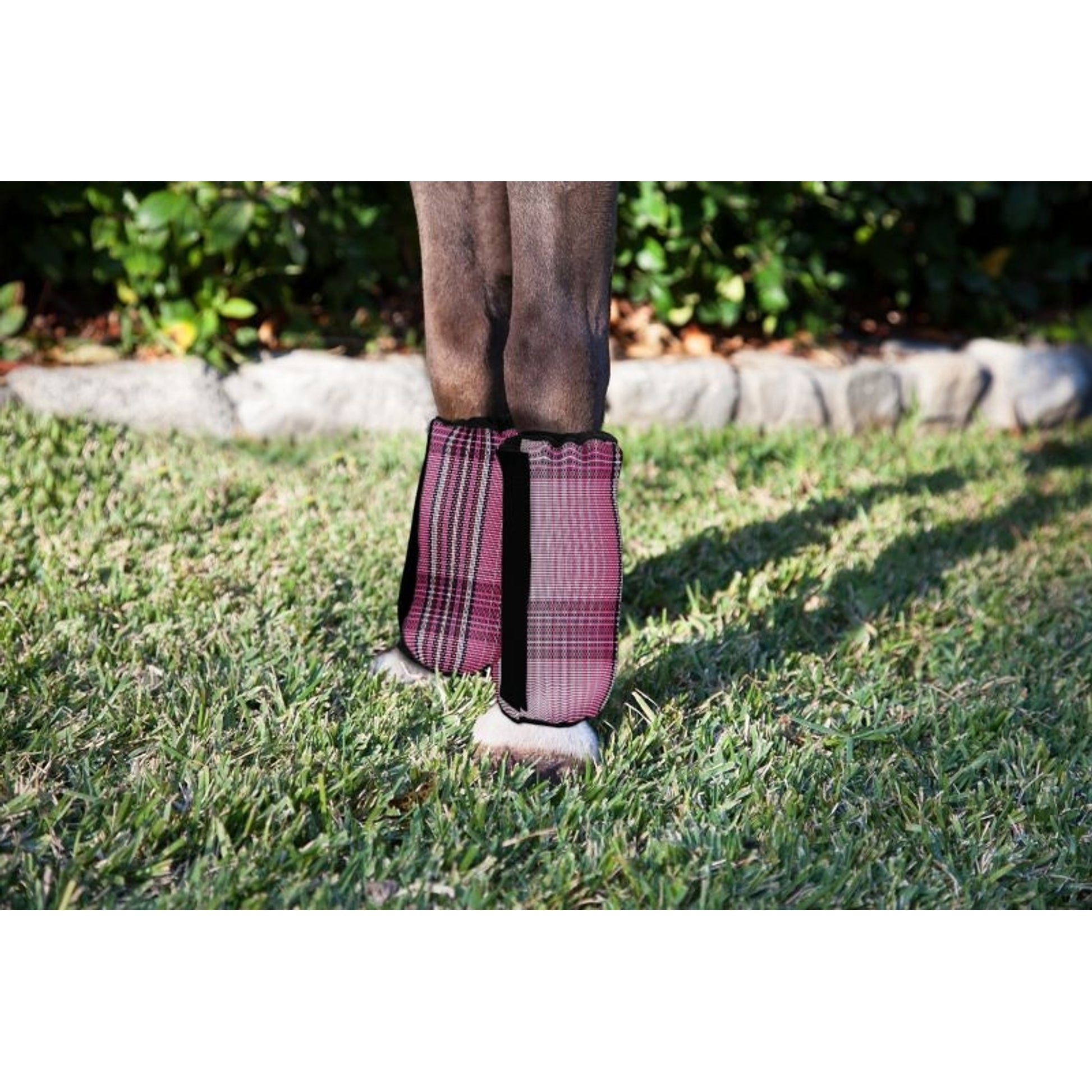 Kensington Mini Fly Boots Bubblegum