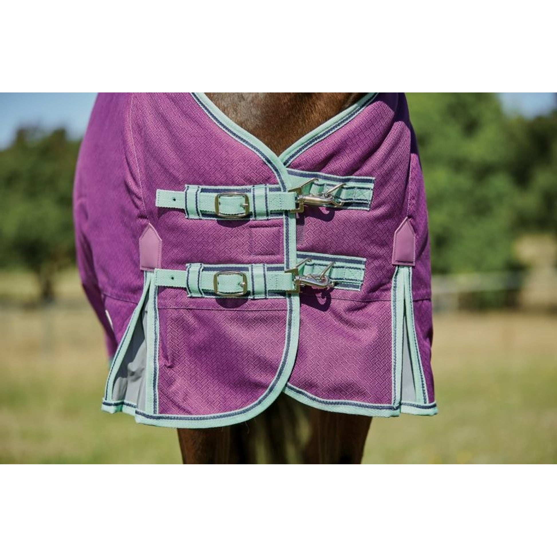 Weatherbeeta ComFiTec Premier Freedom Pony Standard Neck Lite Turnout