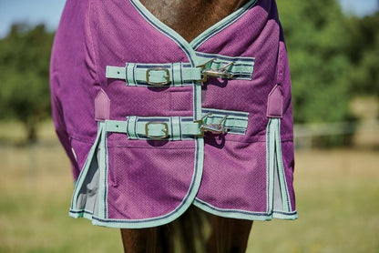 Weatherbeeta ComFiTec Premier Freedom Pony Standard Neck Lite Turnout