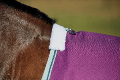 Weatherbeeta ComFiTec Premier Freedom Pony Standard Neck Lite Turnout