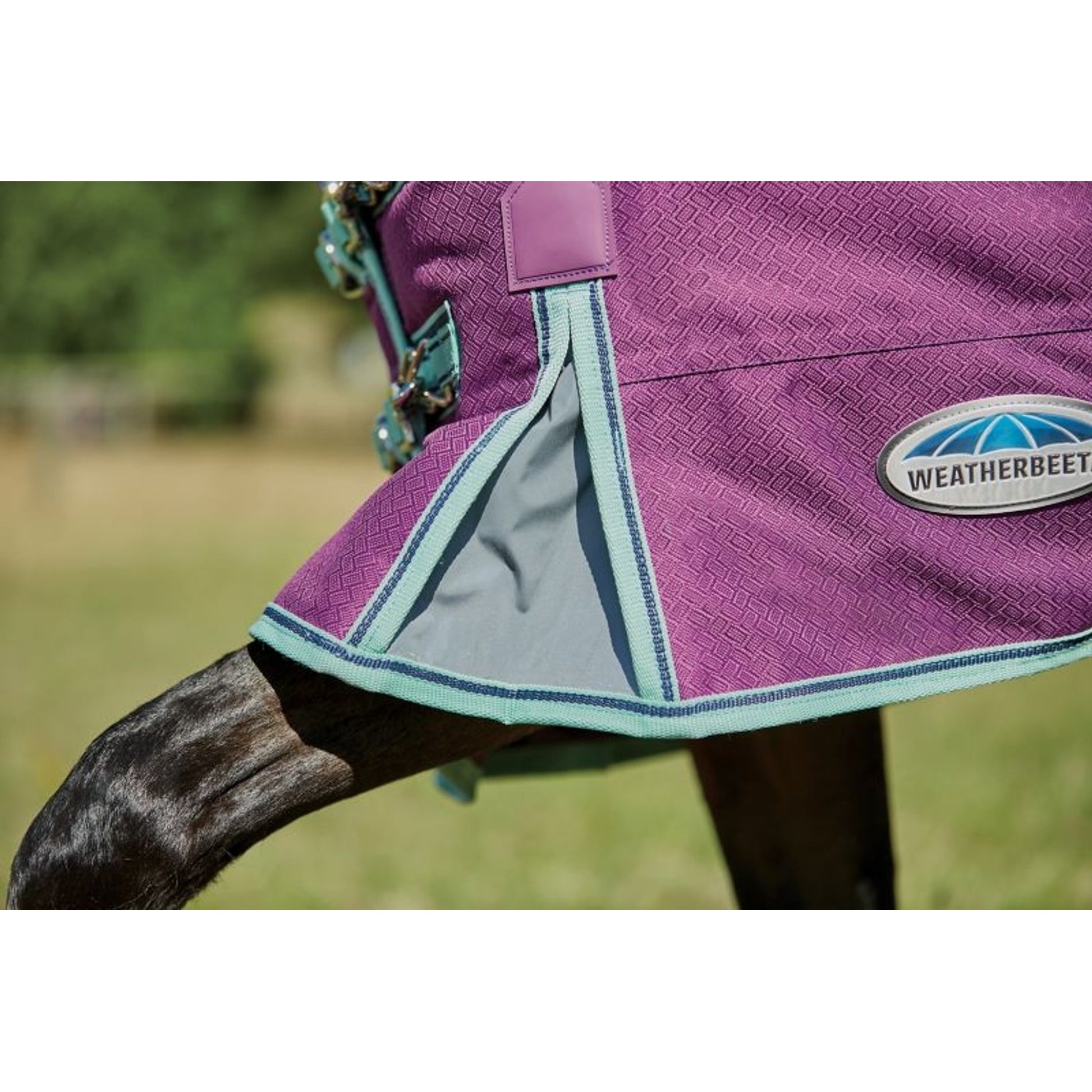 Weatherbeeta ComFiTec Premier Freedom Pony Standard Neck Lite Turnout
