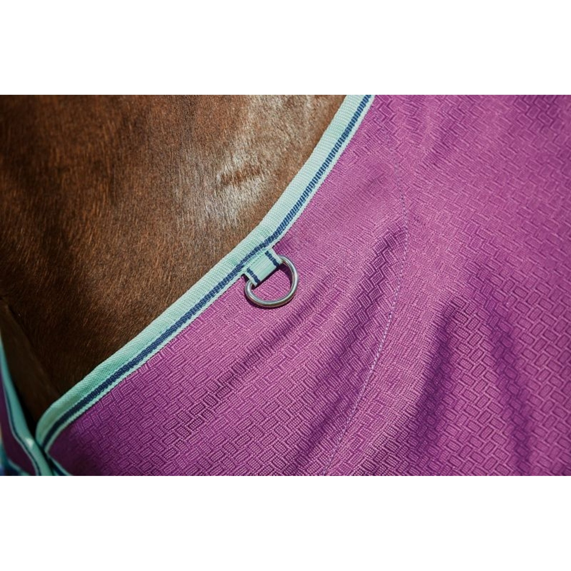 Weatherbeeta ComFiTec Premier Freedom Pony Standard Neck Lite Turnout