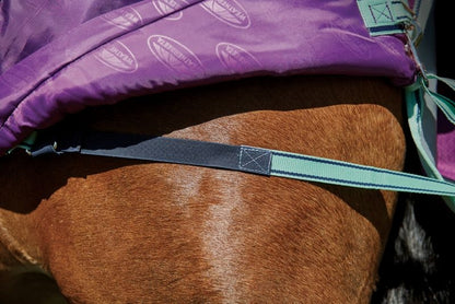 Weatherbeeta ComFiTec Premier Freedom Pony Standard Neck Lite Turnout