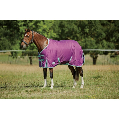 Weatherbeeta ComFiTec Premier Freedom Pony Standard Neck Lite Turnout