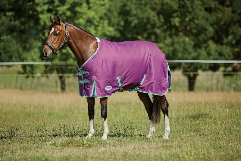 Weatherbeeta ComFiTec Premier Freedom Pony Standard Neck Lite Turnout