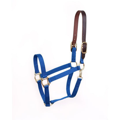 Perris Economy Safety Halter