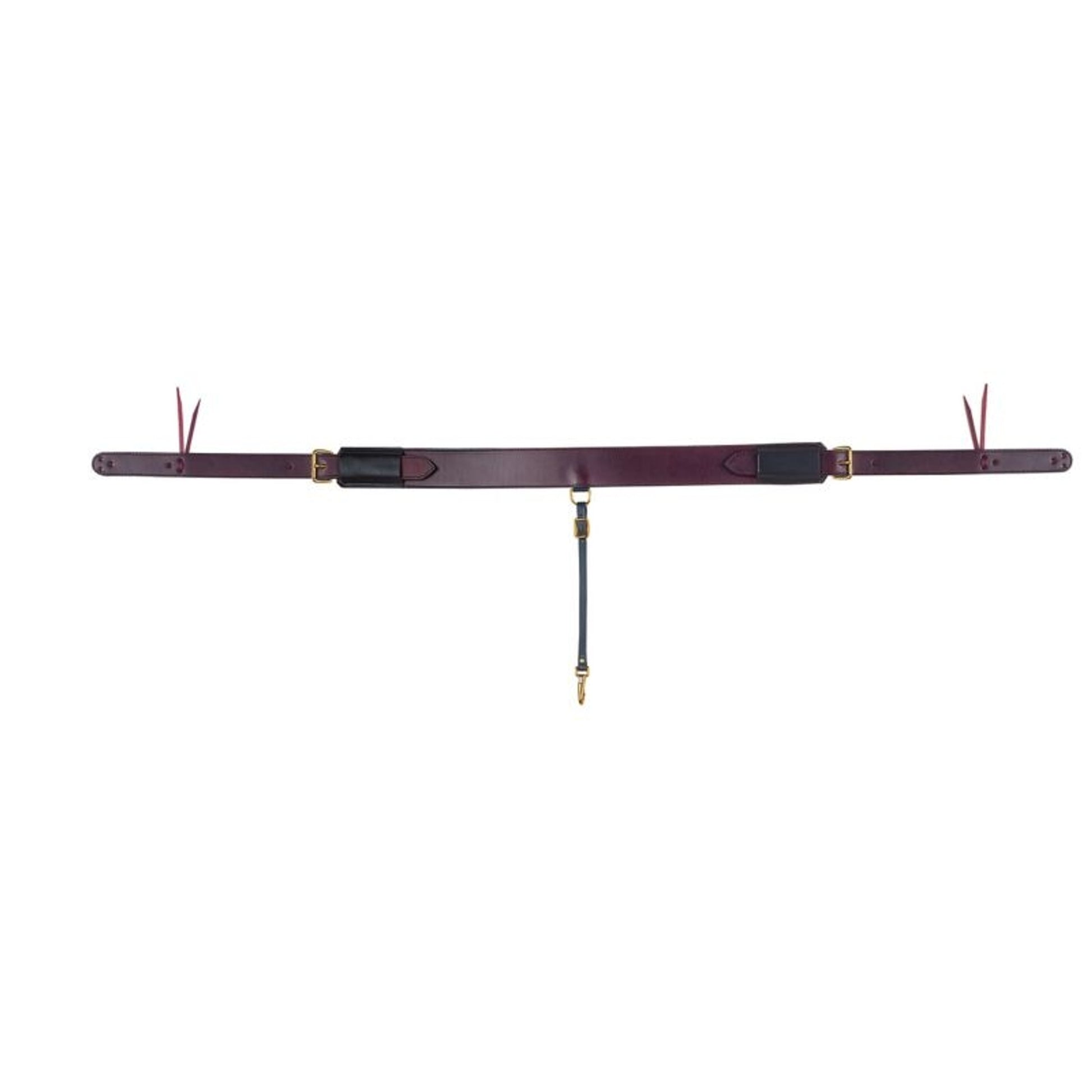 Tucker Rear Cinch Set Black Brass Horse